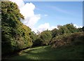 Woodland edge below Darklake View