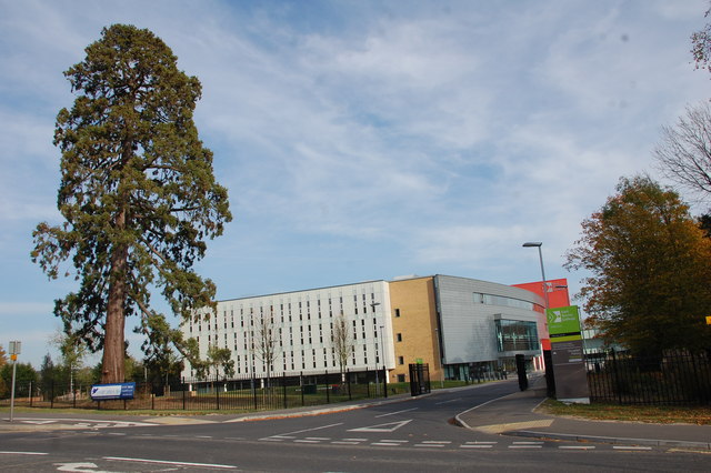 east surrey college travel and tourism