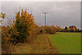 Path from Ickleford Common to Snailswell Lane