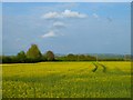 Farmland, Stanton St John