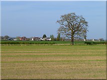 SU3390 : Farmland, Kingston Lisle by Andrew Smith