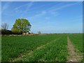 Farmland, West Challow