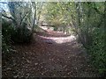 SU0194 : A very dry River Thames near Neigh Bridge by Martin Elliott