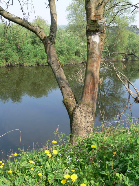 The River Severn At Knowle Sands © Mat Fascione Geograph Britain And