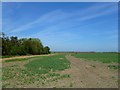 Farmland, West Hanney