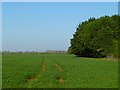 Farmland, Kingston Bagpuize