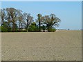 Farmland, Ardington