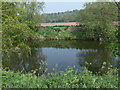 River Severn near Quatford