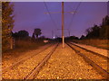 Croydon Tramlink (at night)