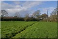 Footpath to Godolphin House