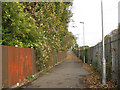 Cycle path to Coombe Road