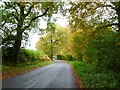 Horningsham, autumn colours