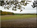 Horningsham, arable land