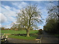 View up Hanover Hill