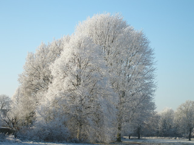 Crabtree Meadow Leamington Winter 2010