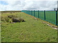 Moorland at the edge of Dyffryn Cellwen cemetery