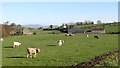 A Bannside Farm in the Townland of Lenish