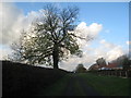 Footpath to Brampton Dale