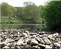 Pebbles on the River Severn