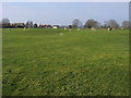 Looking across to The Lane