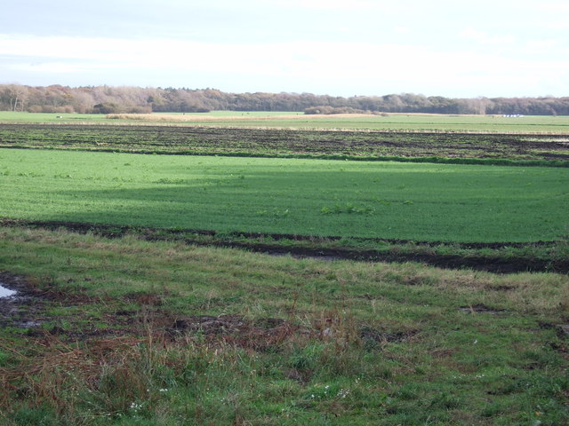 Farmland off Moss Lane