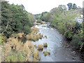 Afon Teifi in Newcastle Emlyn