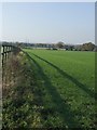 Bridleway from Featherstone Lane in November