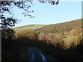 Minor road in Cwm Ty-nant