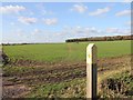 Footpath to Bubbenhall