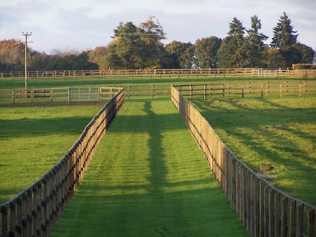 Paddock fences and shadows, West Tytherley