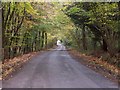 View down Dean Road, West Tytherley