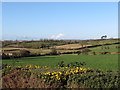 The view northwards across farmland from the Bog Road