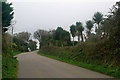 Road past Polrose Farm