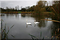 Gloucester Park Lake