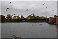 Gloucester Park Swimming Pool 1968-2011