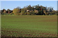 Footpath at Eastham