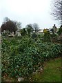 An autumnal walk through Highland Road Cemetery (11)