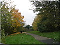 Footpath - Clark Spring Rise