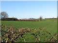 Farmland north of the Lisnamulligan Road