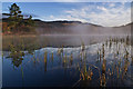 NX4079 : Morning Mist, Loch Trool by David Baird
