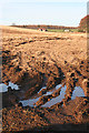 Wet Ground near Brownside