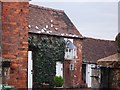 Doves and dovecot, High Street, Kenilworth