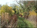 Stanton On The Wolds footpath FP1