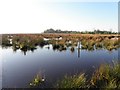 Lough Beg near Church Island