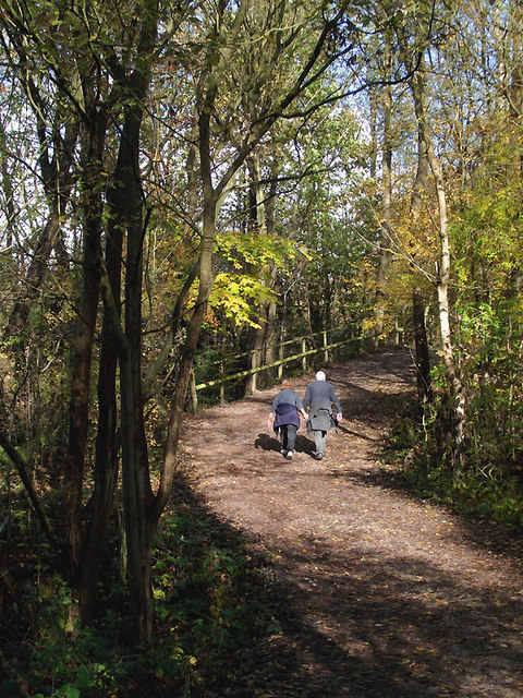 Pathway in Baggeridge Country Park near Sedgley