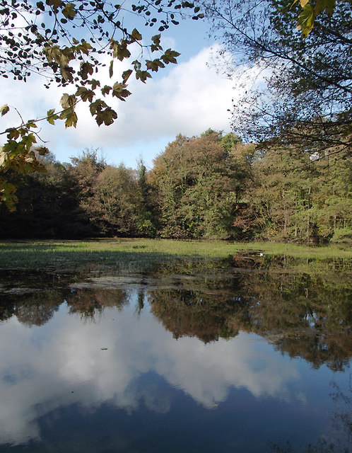 Spring Pool in Baggeridge Country Park near Sedgley