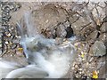 Bishopston Stream disappears into a sink hole