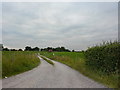 Road to Windy Arbour