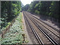 Railway line by Sheath Lane, Oxshott