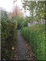 Footpath - Blue Hill Lane